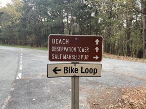 Cape Henlopen State Park