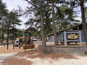 Cape Henlopen State Park