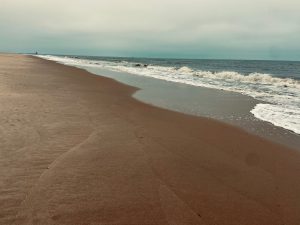 Cape Henlopen State Park