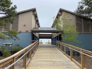 Cape Henlopen State Park