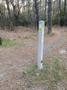 Cape Henlopen State Park