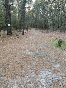 Cape Henlopen State Park