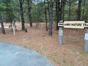 Cape Henlopen State Park