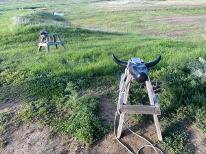 Grasslands National Park