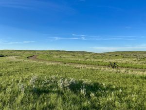 Grasslands National Park