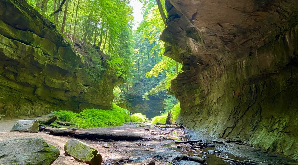 Turkey Run State Park