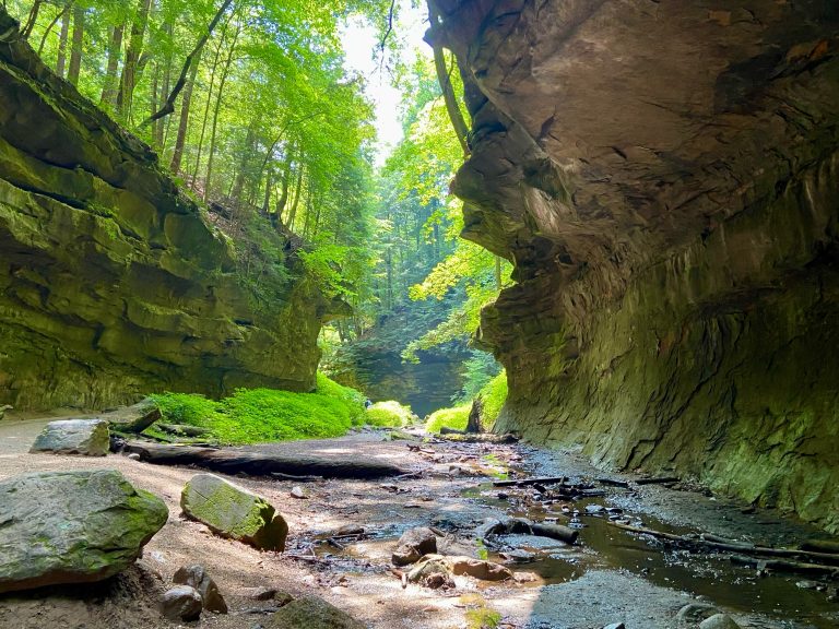 Turkey Run State Park