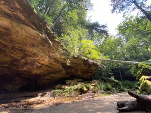 Turkey Run State Park