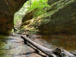 Turkey Run State Park