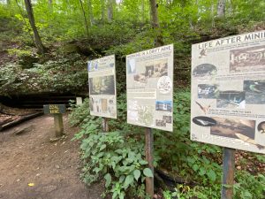 Turkey Run State Park