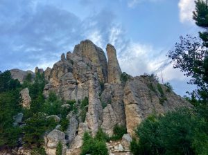 Custer State Park