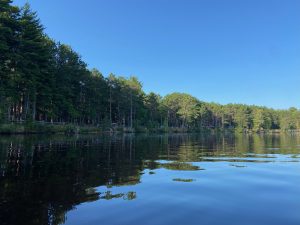 Tahquamenon Falls State Park