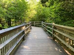 Tahquamenon Falls State Park