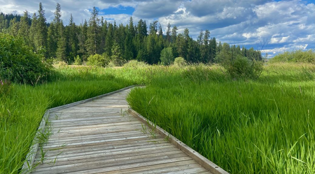 Heyburn State Park