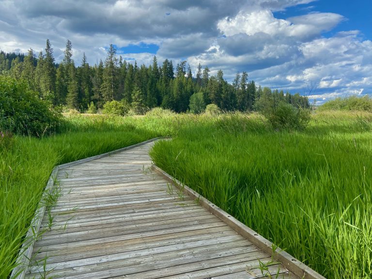 Heyburn State Park