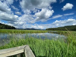 Heyburn State Park