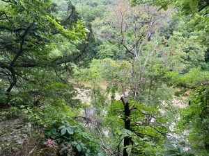 Backbone State Park