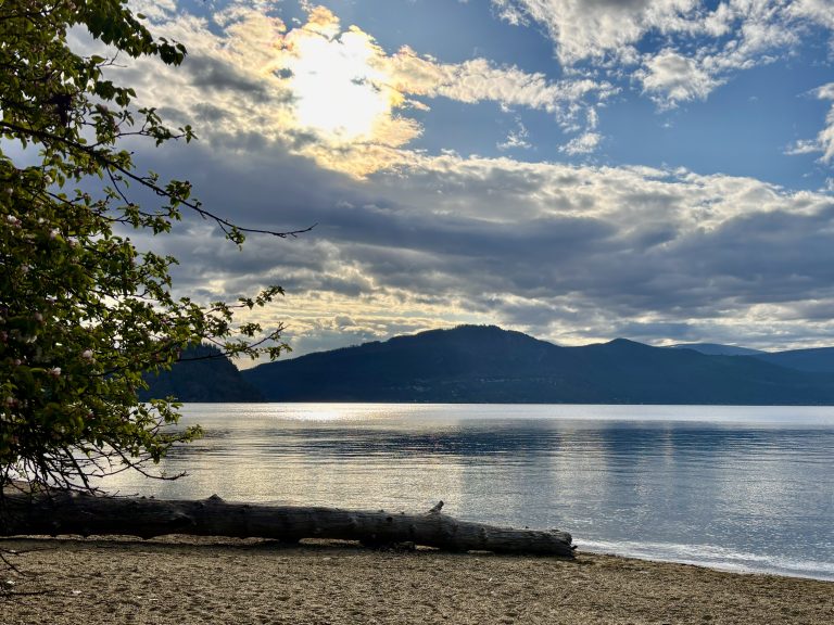 Shuswap Lake Provincial park