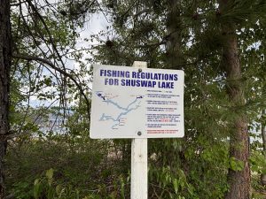Shuswap Lake Provincial Park
