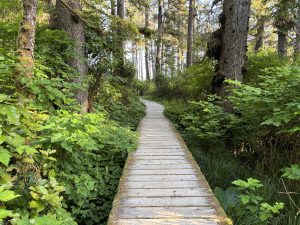 Pacific Rim National Park and Reserve