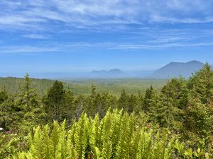 Pacific Rim National Park and Reserve