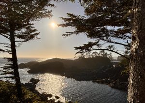 Pacific Rim National Park and Reserve