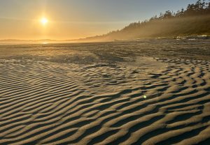 Pacific Rim National Park and Reserve