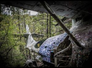 Pacific Rim National Park and Reserve