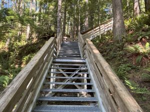 Elk Falls Provincial Park