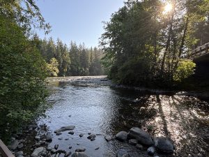 Elk Falls Provincial Park