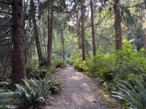 Elk Falls Provincial Park