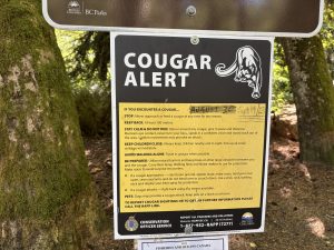 Elk Falls Provincial park 