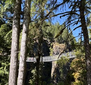 Elk Falls Provincial Park